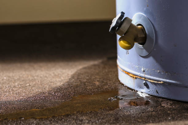 Best Residential water damage restoration  in Ashland, AL