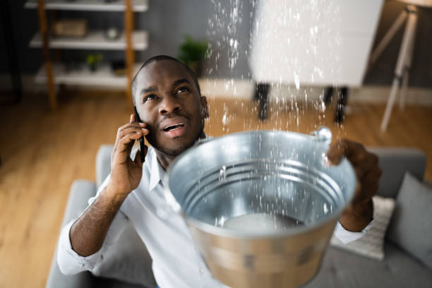 Best Residential water damage restoration  in Ashland, AL