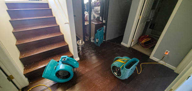 Best Carpet water damage restoration  in Ashland, AL