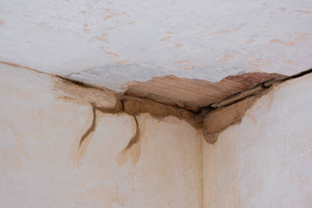 Best Flood restoration services  in Ashland, AL
