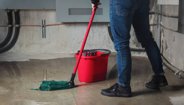 Best Fire Damage Restoration  in Ashland, AL