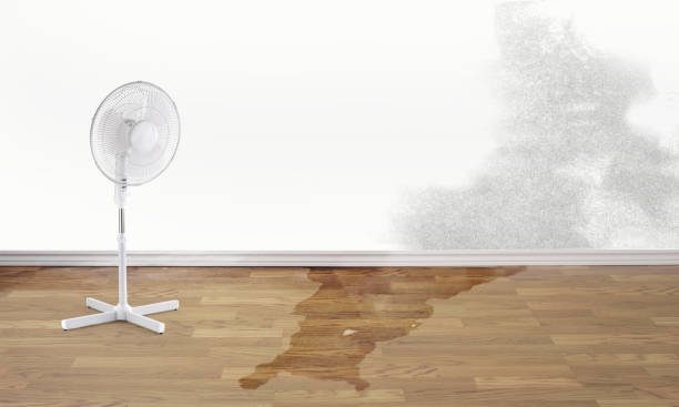 Best 24/7 water damage repair  in Ashland, AL