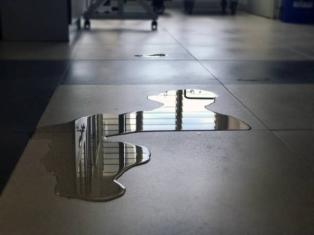 Best 24-hour water damage restoration  in Ashland, AL
