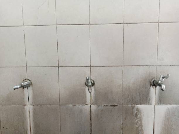 Best Water damage contractors near me  in Ashland, AL