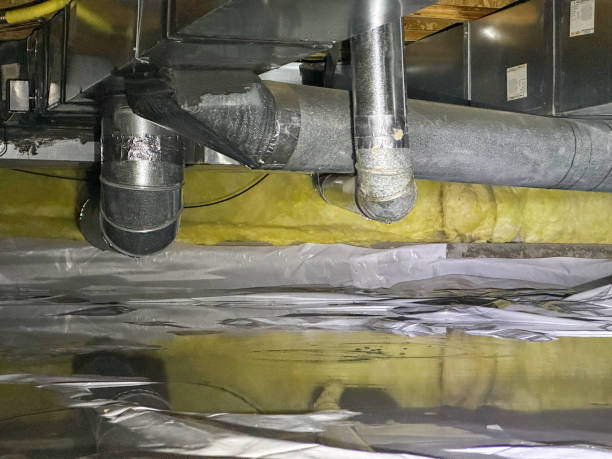 Best Water damage contractors near me  in Ashland, AL