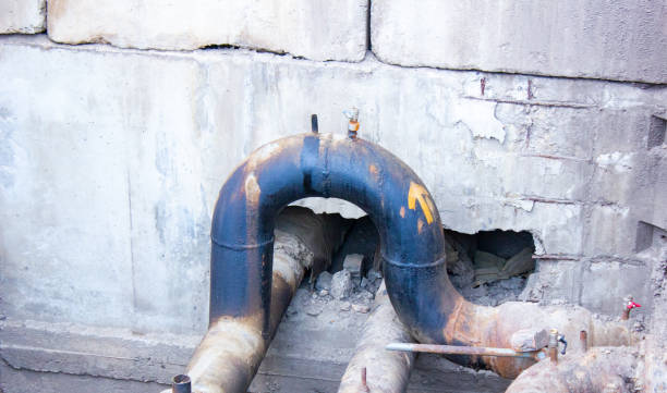 Best Water damage restoration specialists  in Ashland, AL