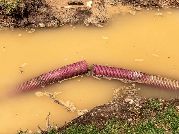 Trusted Ashland, AL Water damage restoration Experts