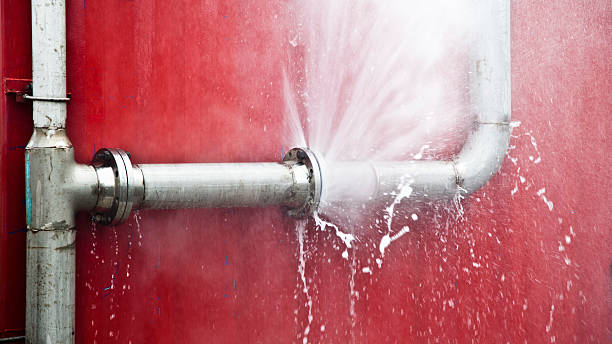 Best Water damage restoration specialists  in Ashland, AL